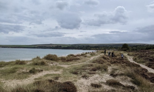 Geography's Biogeography Fieldwork at Studland Bay